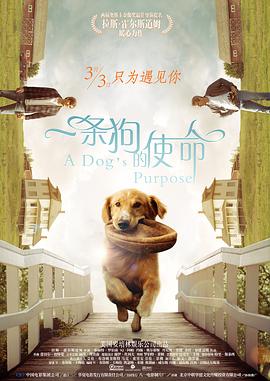 国产成人精品一区二三区